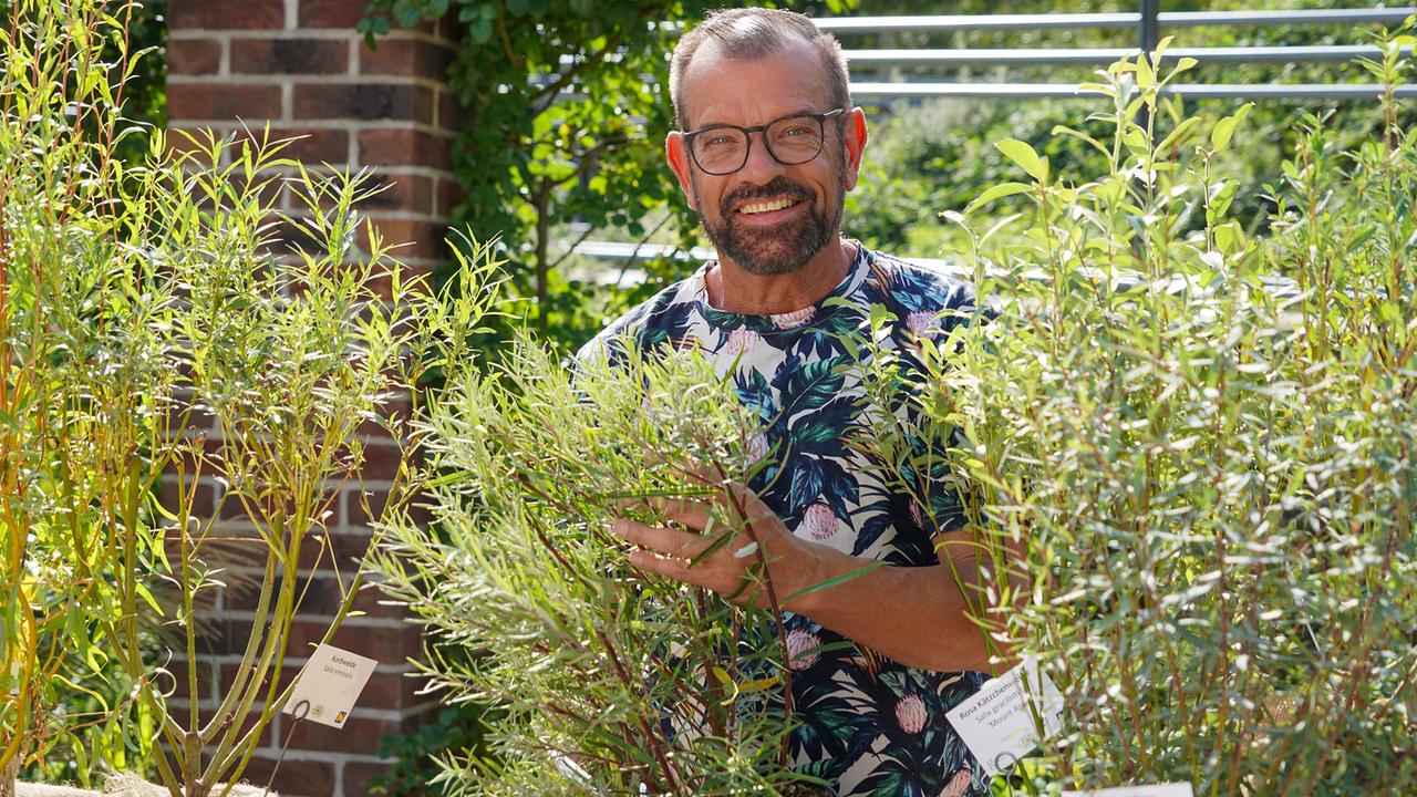 © Leopold Mayrhofer/Natur im Garten Karl Ploberger präsentiert verschiedene Weidenpflanzen.