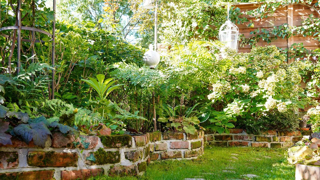 © Leopold Mayrhofer/Natur im Garten Natursteinmauern mit üppiger Bepflanzung, Farne und blühende Hortensien, im Hintergrund hängende Dekoration.