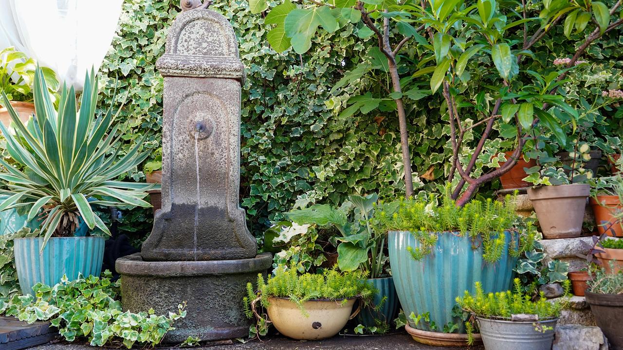 © Leopold Mayrhofer/Natur im Garten Steinbrunnen mit Wasserhahn vor Efeu-Wand, umgeben von bunten Pflanztöpfen und grünen Farnen.