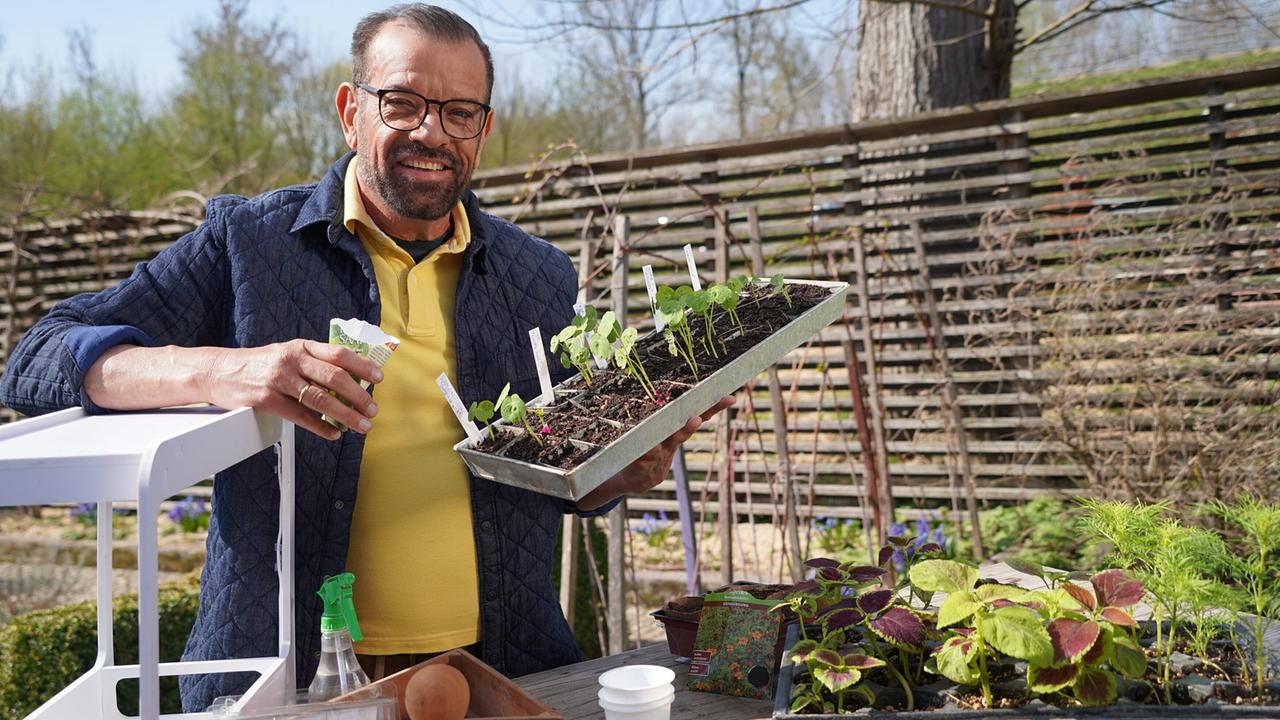 Karl Ploberger präsentiert  outdoor Jungpflanzen