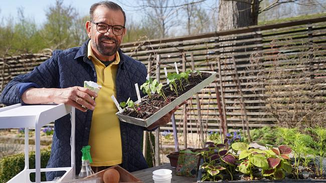 © Leopold Mayrhofer/Natur im Garten Karl Ploberger präsentiert outdoor Jungpflanzen