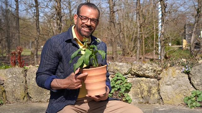 Karl Ploberger sitzt auf einer Bank mit einer Pflanze im Tontopf.
