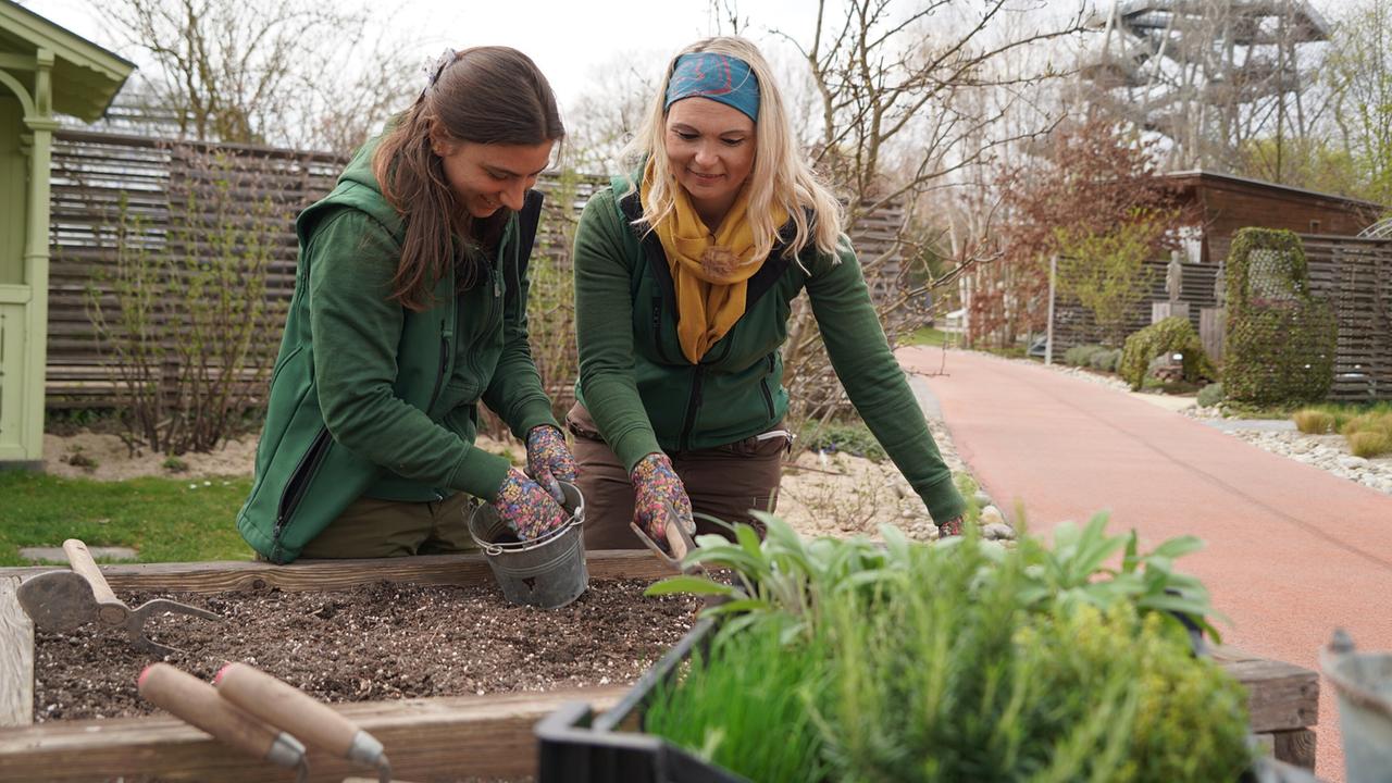 Zwei Gärtnerinnen bereiten auf der Garten Tulln ein Gemüsebeet für die neue Saison vor