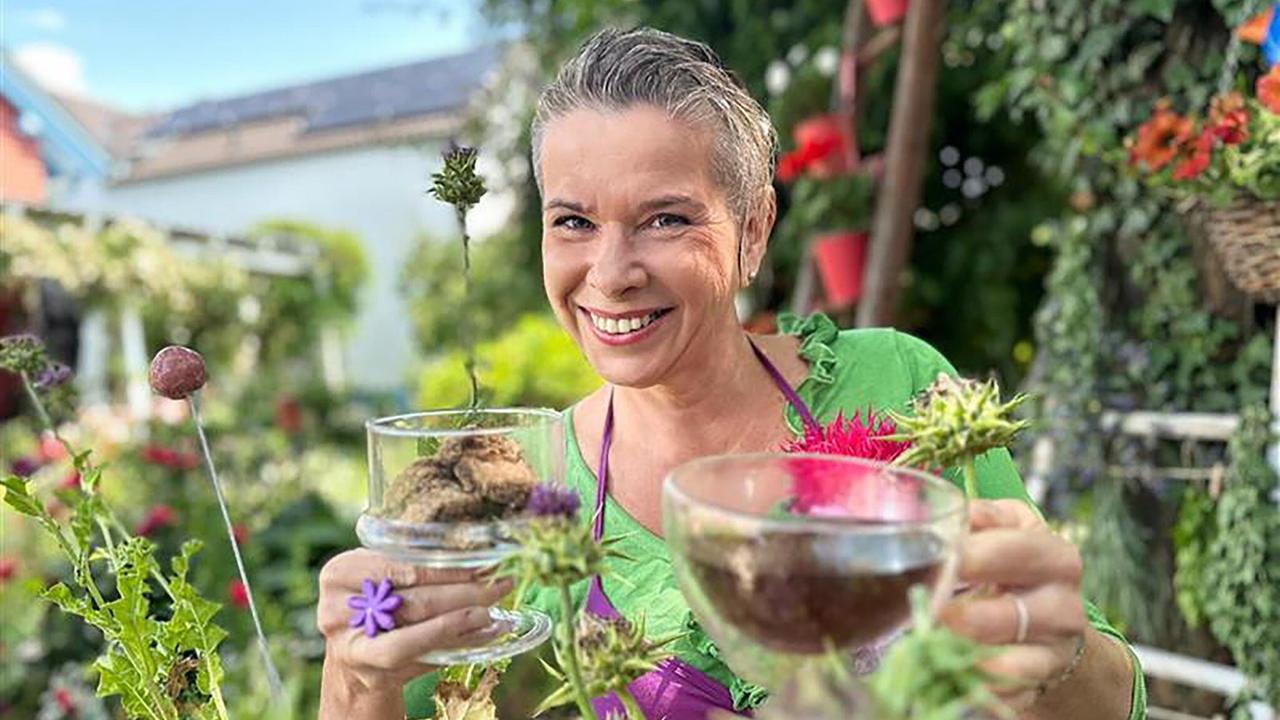 Sie ist majestätisch, mit einer purpurfarbenen Krone und stacheligen Blättern – die Mariendistel. Kräuterhexe Uschi Zezelitsch bereitet daraus ihre „Mitzi-Kekse“ zu, ein perfektes Betthupferl