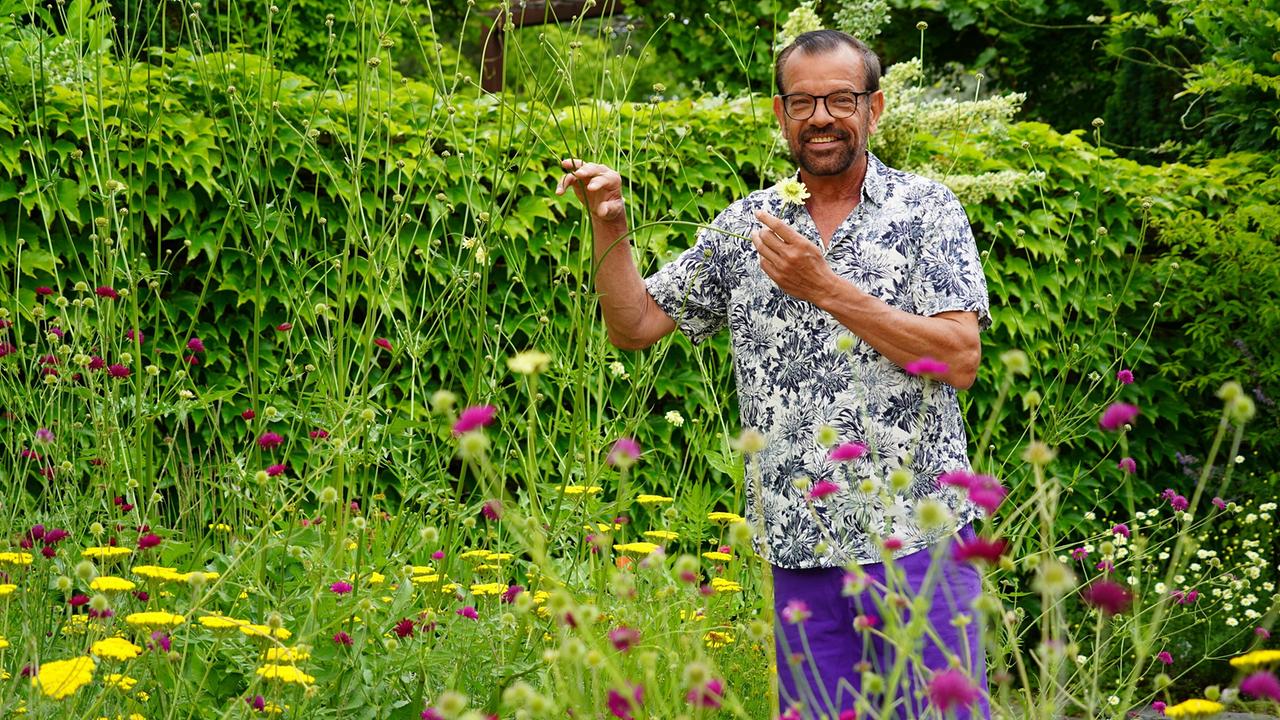 Karl Ploberger stellt außergewöhnliche Kräuter wie Griechische Myrte, Peruanischen Salbei, Kalifornischen Thymian und Damiana vo