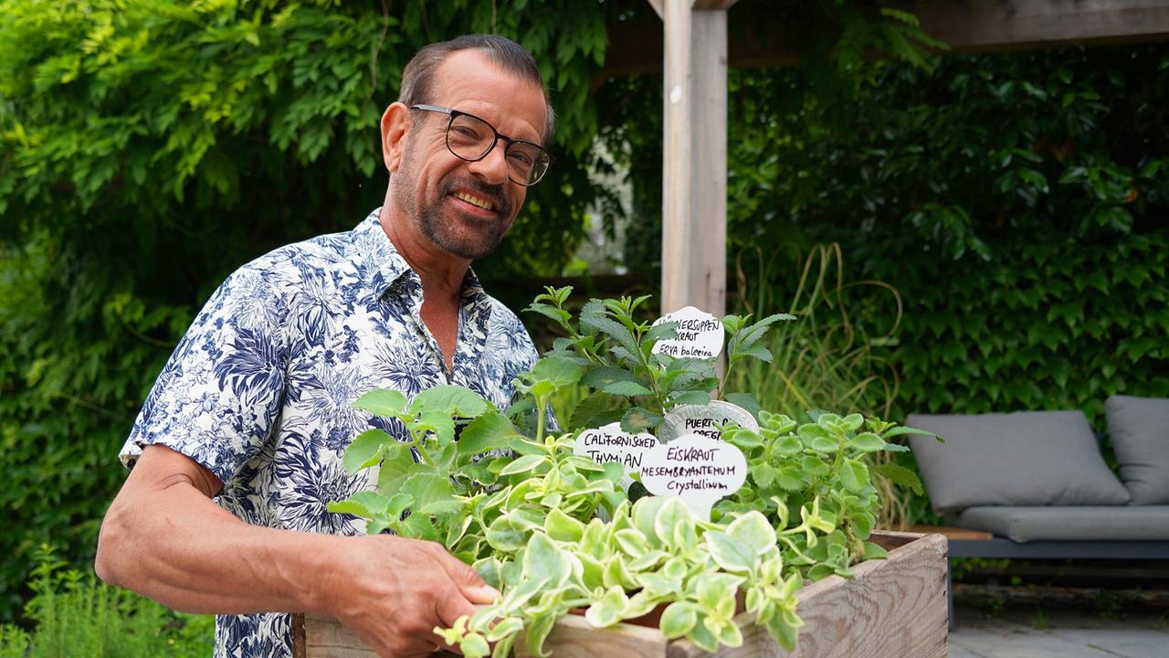 Karl Ploberger stellt außergewöhnliche Kräuter wie Griechische Myrte, Peruanischen Salbei, Kalifornischen Thymian und Damiana vor
