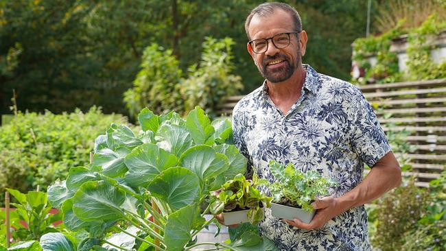 Karl Ploberger zeigt Pflanzschale mit Setzlingen vor großblättrigem Kohlgemüse.