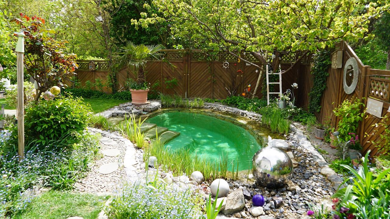 Garten mit kleinem Pool, umgeben von Steinen, Pflanzen und einem Holzzaun.