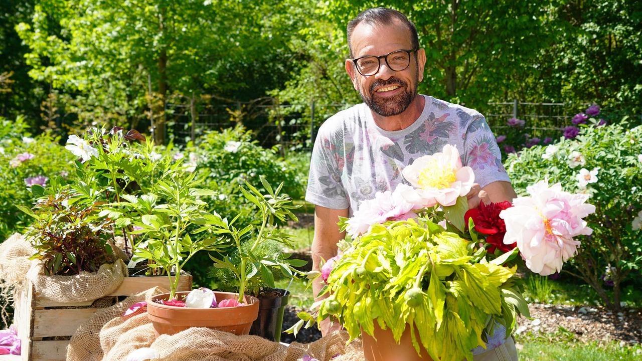 Karl Ploberger steht in einem Garten hinter einem Tisch mit verschiedenen Pfingstrosen.
