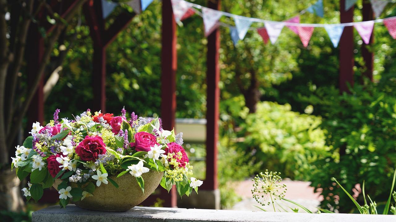„Natur im Garten“ feiert ein Jubiläum – die bereits 400. Sendung! Karl Ploberger und Kräuterhexe Uschi Zezelitsch treffen sich zu diesem Anlass zu einer sommerlichen Gartenparty und präsentieren die schönsten Gartengeschichten aus der Vergangenheit. 