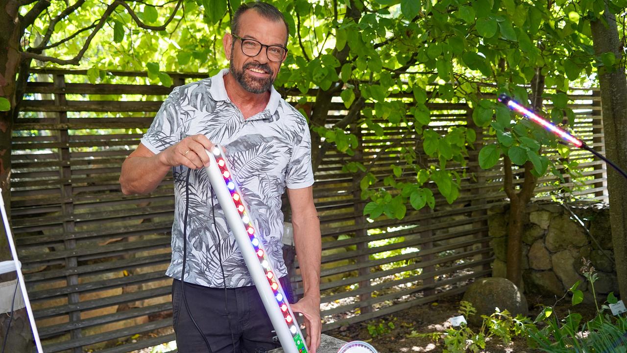 © Leopold Mayrhofer/Natur im Garten Karl Ploberger zeigt eine moderne LED-Pflanzenlampe mit farbigen Leuchtdioden unter einem Laubdach.