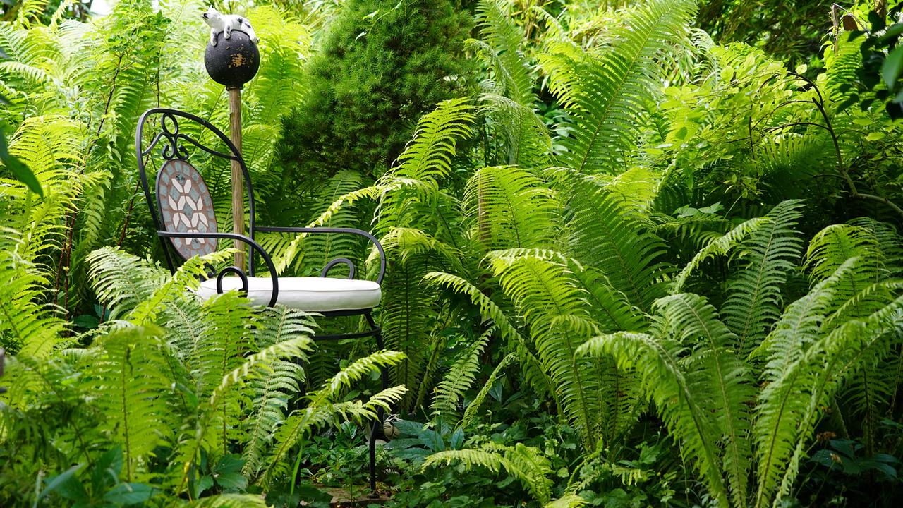 Schmiedeeiserner Gartensessel zwischen grünen Farnen und dichter Bepflanzung im Naturgarten.