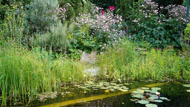 Karl Ploberger präsentiert in Niederösterreich einen Garten voller Vielfalt und zeigt seine persönliche Hitparade der schönsten Herbstpflanzen
