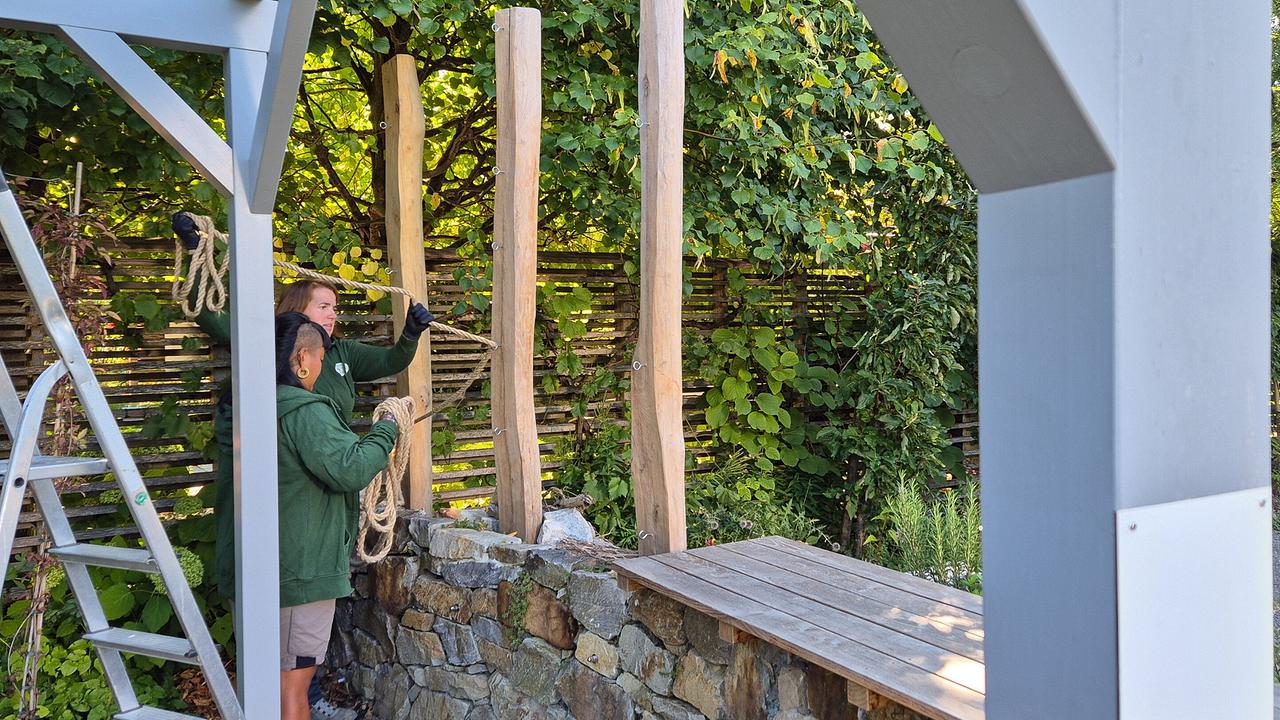 © ORF/Katja Batakovic/Natur im Garten In der „Natur sucht Garten“-Anlage arbeiten die Gärtnerinnen der Garten Tulln an der Begrünung der Pergola und haben sich für Kletterpflanzen entschieden