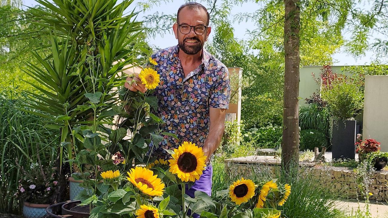 © Leopold Mayrhofer/Natur im Garten Karl Ploberger steht in einem Garten bei mehreren blühenden Sonnenblumen.