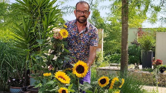 © Leopold Mayrhofer/Natur im Garten Karl Ploberger steht in einem Garten bei mehreren blühenden Sonnenblumen.
