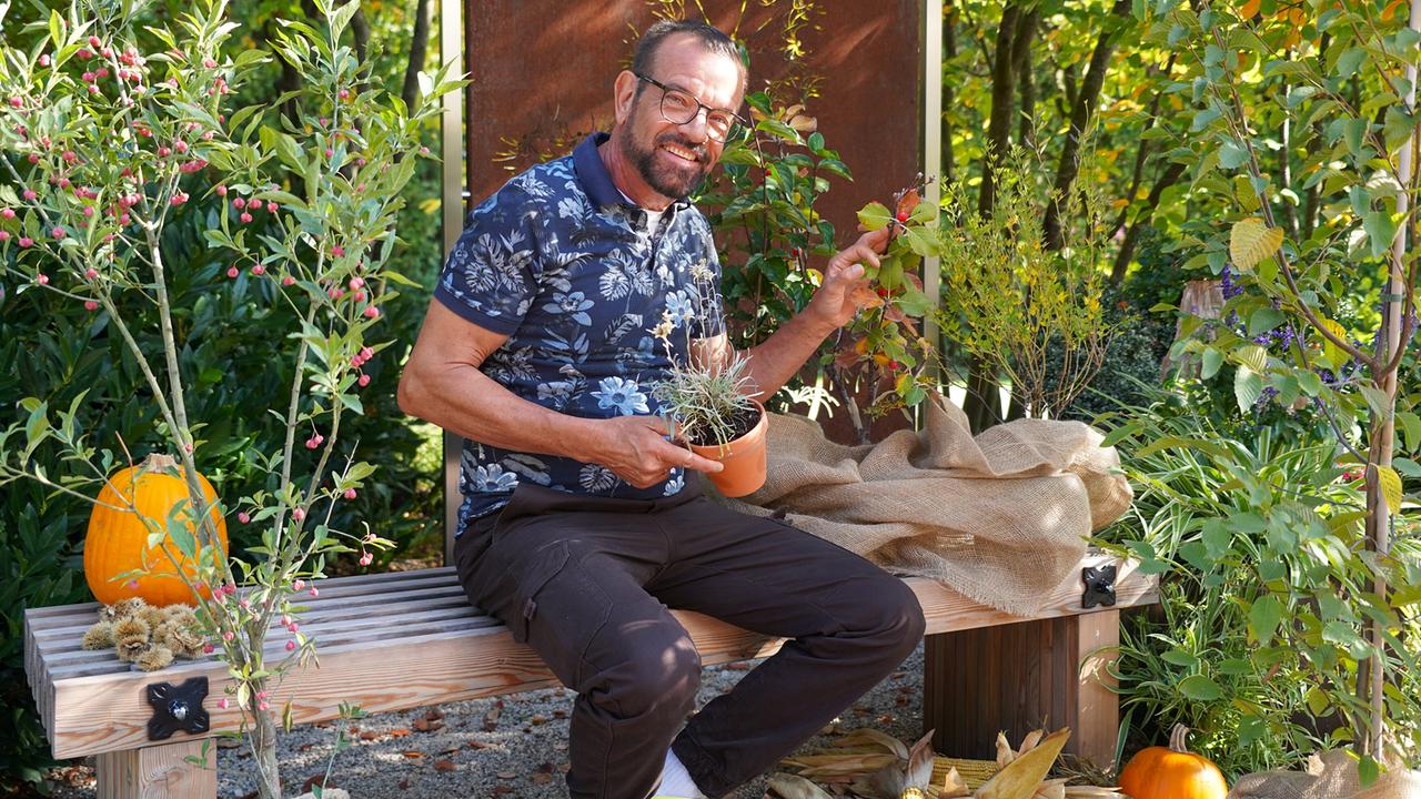 © Leopold Mayrhofer/Natur im Garten Karl Ploberger präsentiert österreichische Pflanzen auf Holzbank, umgeben von Gehölzen und Kürbissen
