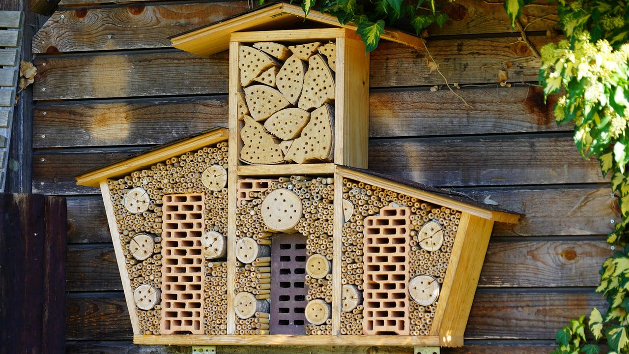 © Leopold Mayrhofer/Natur im Garten Insektenhotel in Hausform mit verschiedenen Nistmaterialien vor Holzwand und grünen Zweigen.