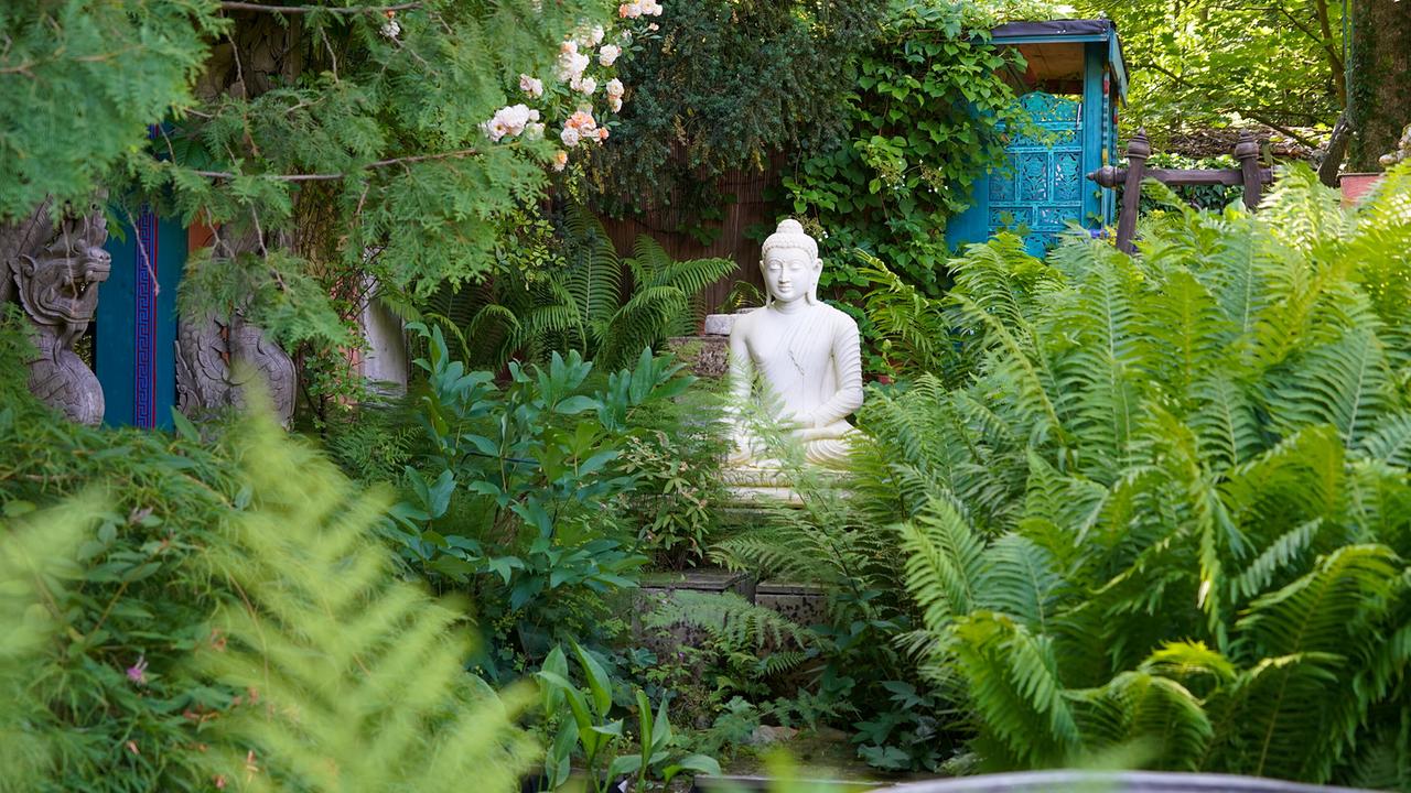 © Leopold Mayrhofer/Natur im Garten Buddha-Statue inmitten üppiger Farne und Grünpflanzen in einem naturnahen Garten im asiatischen Stil.