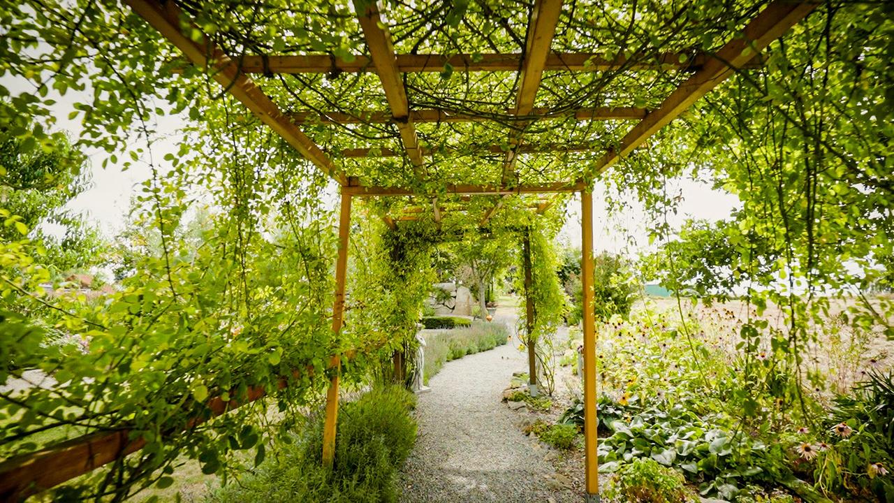 Berta Scherzer hat in Schrems einen 8000m² großen Schaugarten geschaffen. Prächtige Staudenbeete, ein großer Schwimmteich und natürliche Elemente, die harmonisch in die Landschaft integriert sind, machen den Garten zu einer Oase der Ruhe