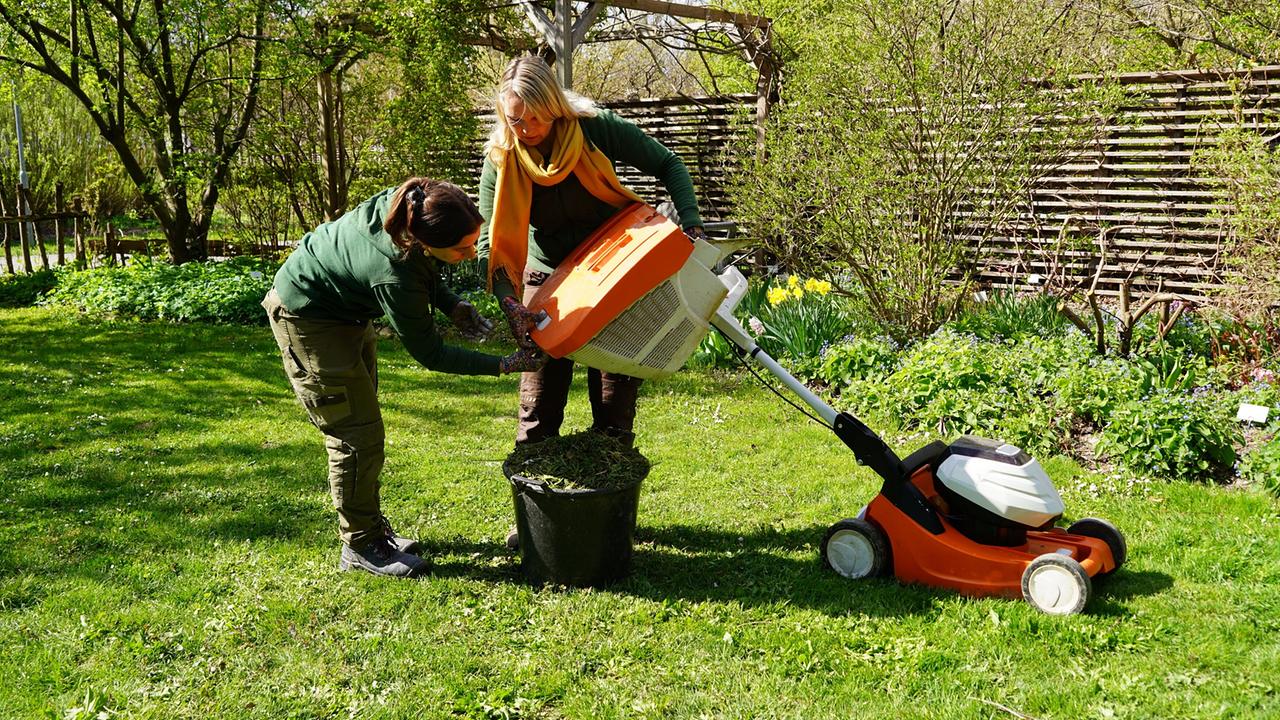 Zwei Gärtnerinnen entleeren Grasschnitt aus einem Rasenmäher in einen schwarzen Eimer auf einer grünen Wiese