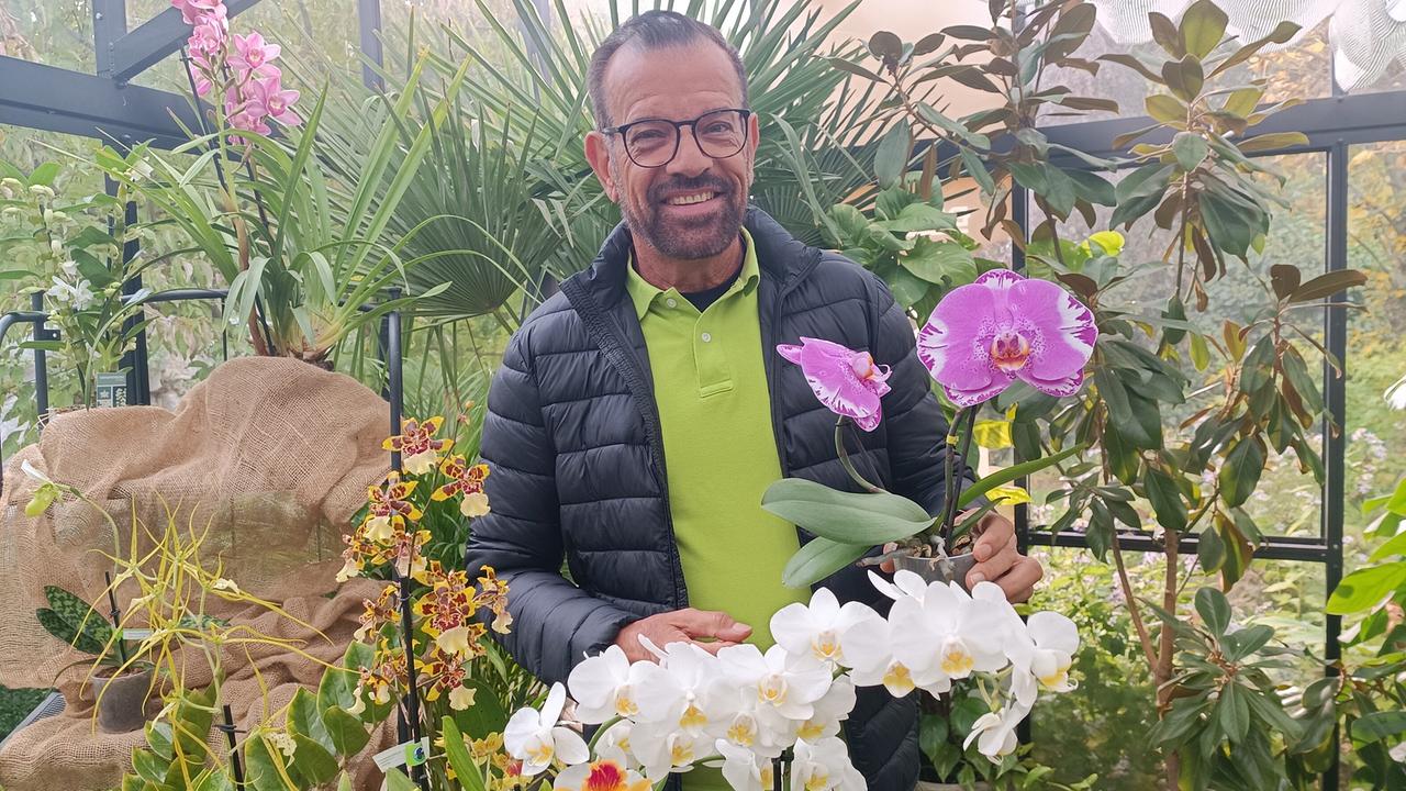 Karl Ploberger hält einen Topf mit pinken Orchideen in einem Gewächshaus mit verschiedenen Pflanzen, weiße Orchideen im Vordergrund.