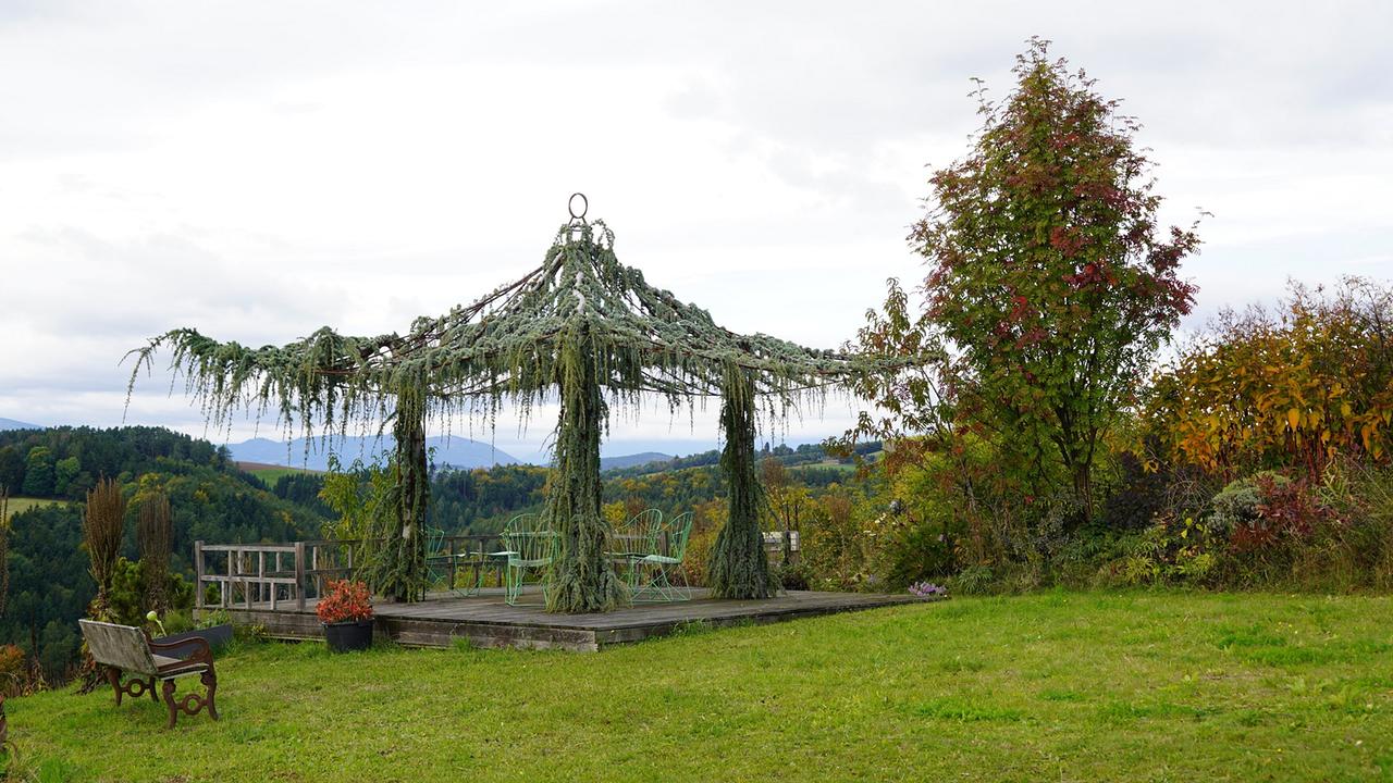 Ein balinesisch angehauchter Pavillon, daneben eine Bank und ein Baum mit herbstlich gefärbten Blättern auf einer Wiese.