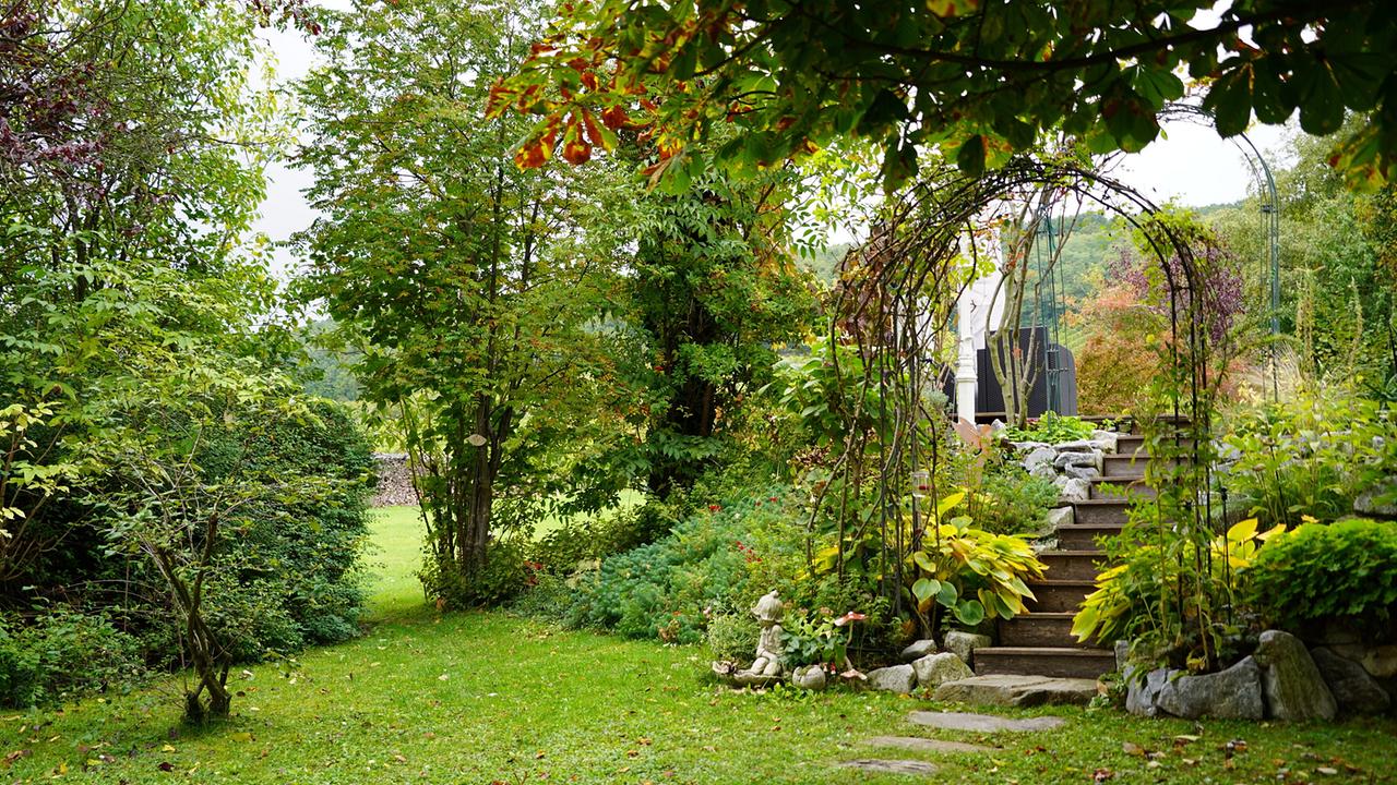 Garten mit Rasen, Bäumen und einer mit Pflanzen bewachsenen Bogenkonstruktion über einer Steintreppe