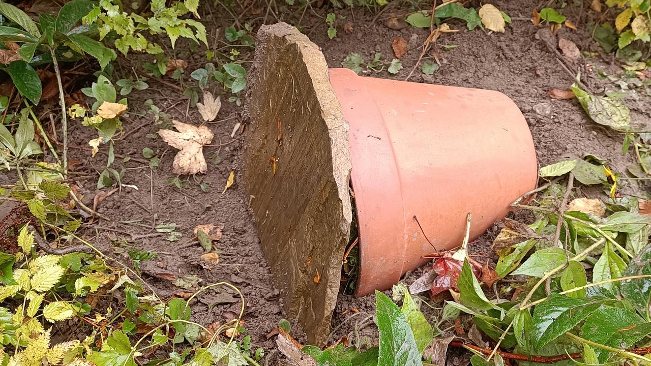 Versteck für Salamander, Kröte und Co: umgelegter Terrakottatopf  auf der Erde, Eingang verschlossen durch Tonscheibe