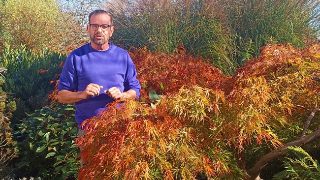 Karl Ploberger steht hinter herbstlich gefärbtem Ahornstrauch in Garten mit grünem und orangem Laub.