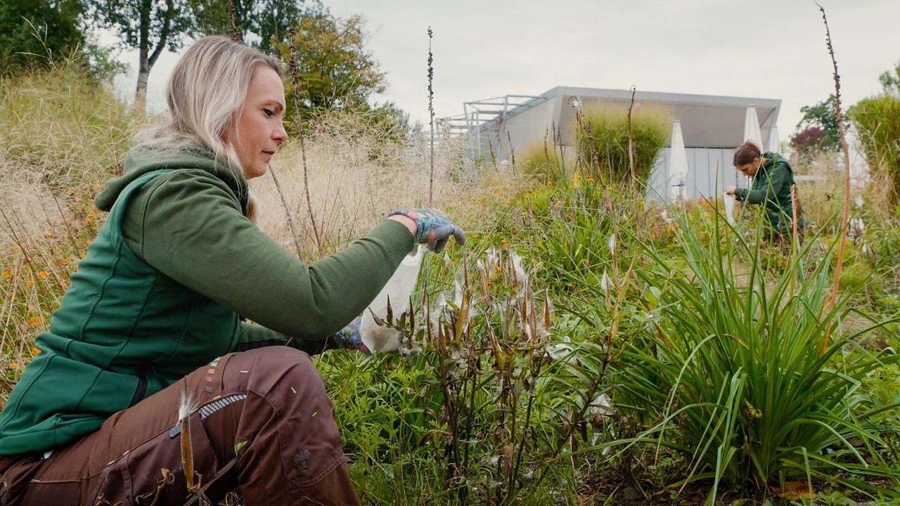 Die Gärtnerinnen auf der Garten Tulln präsentieren den Festplatzbeet-Garten