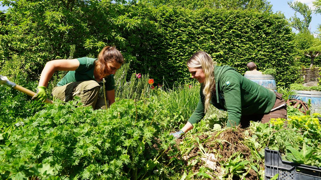 © ©Leopold Mayrhofer/Natur im Garten Das nächste Projekt im Gartenteil „Natur sucht Garten“ steht an. Diesmal verleihen die Gärtnerinnen auf der Garten Tulln den Staudenbeeten neuen Pep