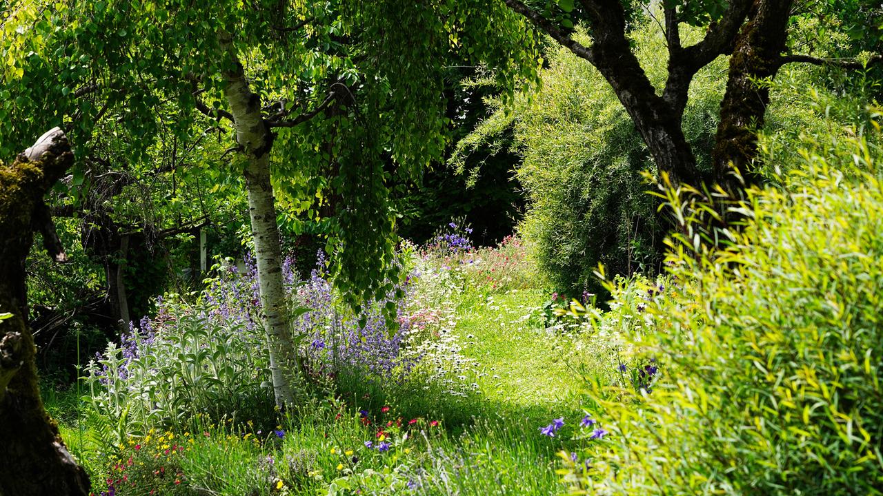 © Leopold Mayrhofer/Natur im Garten Sabine Sladky-Meraner öffnet in Mils in der Nähe von Innsbruck ihr Gartentor. Die Biologin hat sich hier ein grünes Reich mit einer großen Artenvielfalt geschaffen