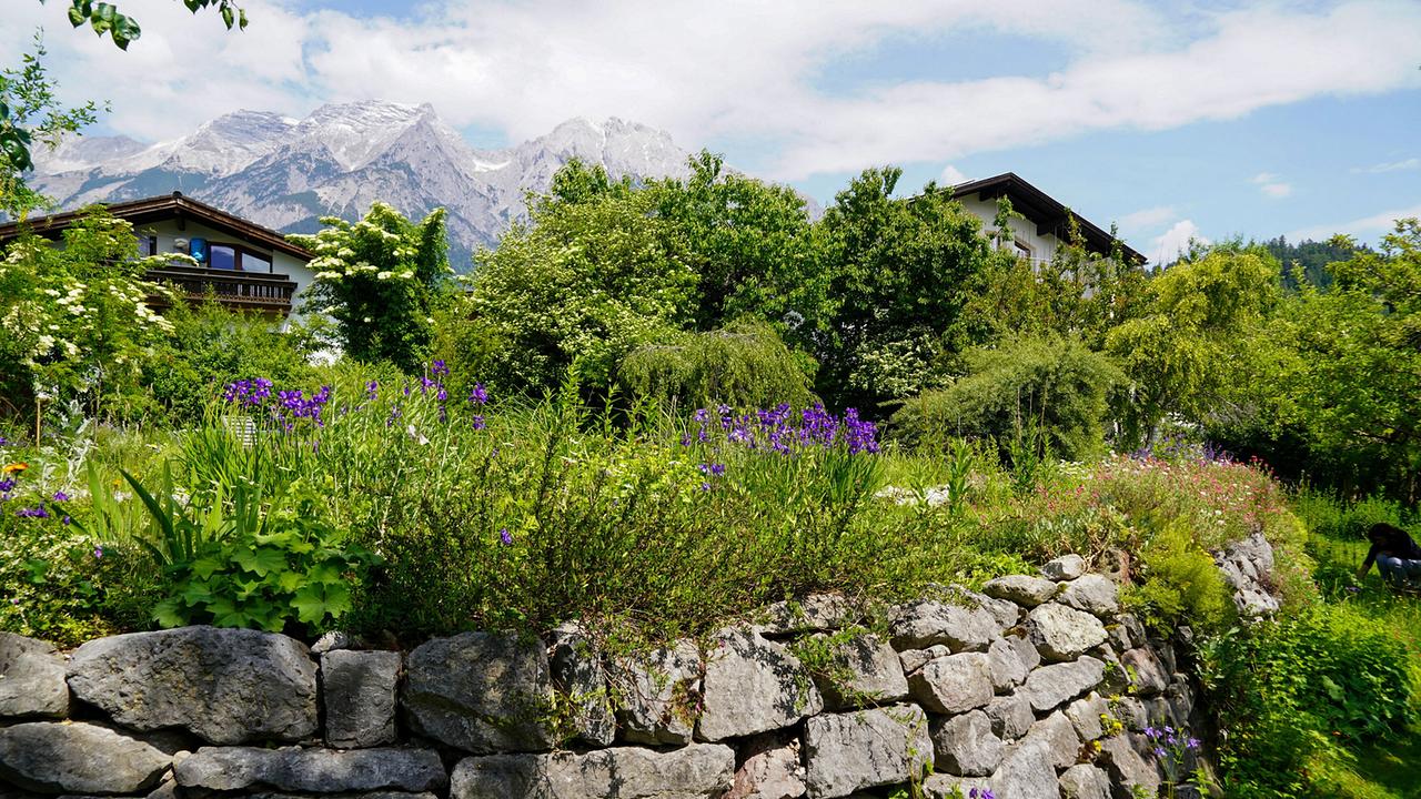 © Leopold Mayrhofer/Natur im Garten Sabine Sladky-Meraner öffnet in Mils in der Nähe von Innsbruck ihr Gartentor. Die Biologin hat sich hier ein grünes Reich mit einer großen Artenvielfalt geschaffen