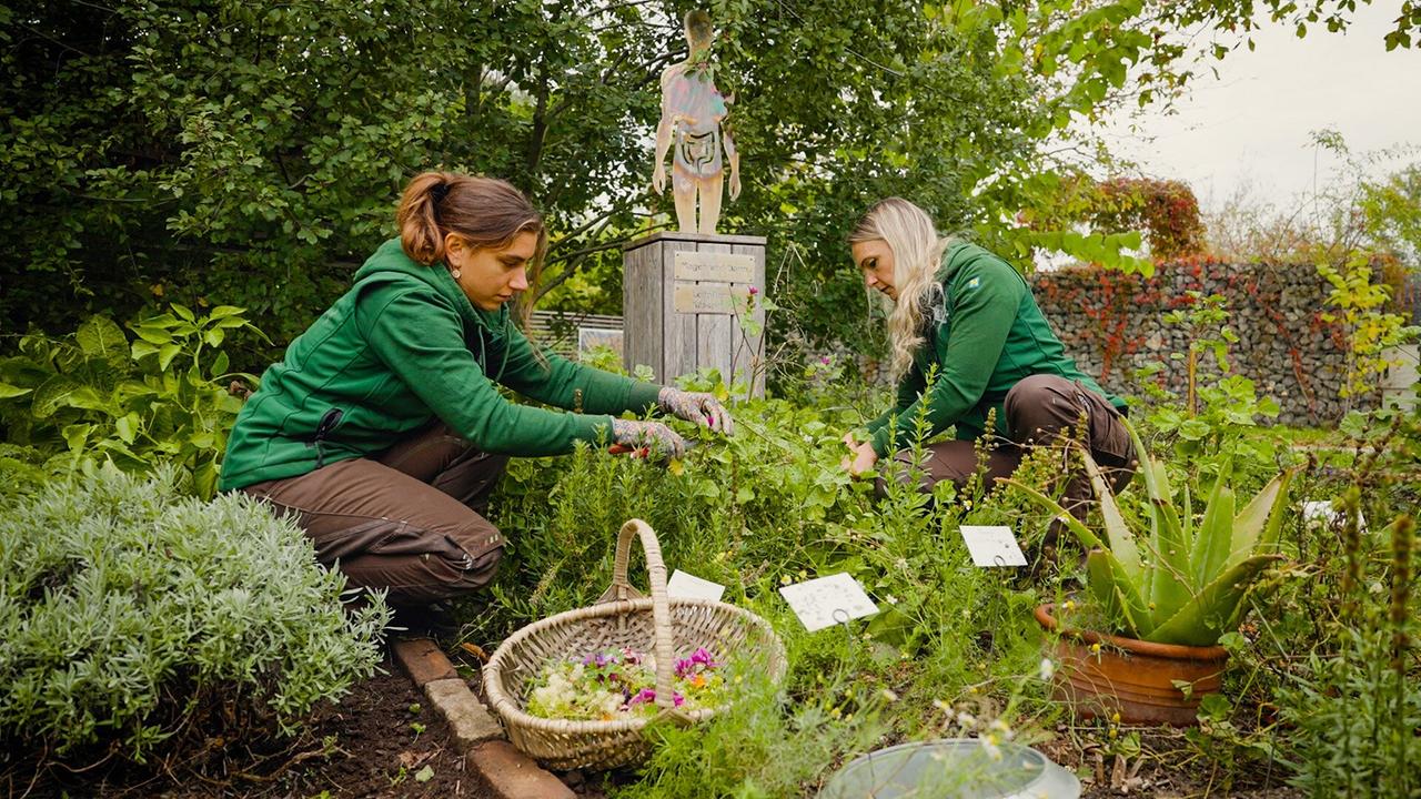 Die Gärtnerinnen auf der Garten Tulln präsentieren den Naturapotheke-Garten, in dem über 80 verschiedene Heilkräuter wachsen