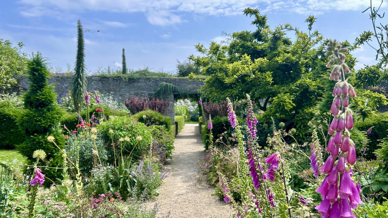 © Leopold Mayrhofer/Natur im Garten Die Airfield Estate Gärten in Irland - hohe Fingerhüte entlang eines Gartenwegs.
