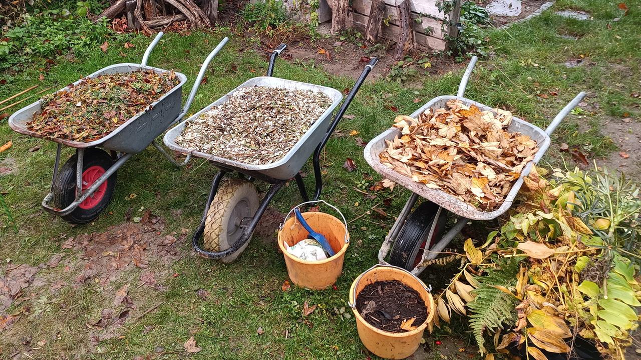 Drei Schubkarren mit Laub und Erde für einen Komposthaufen 