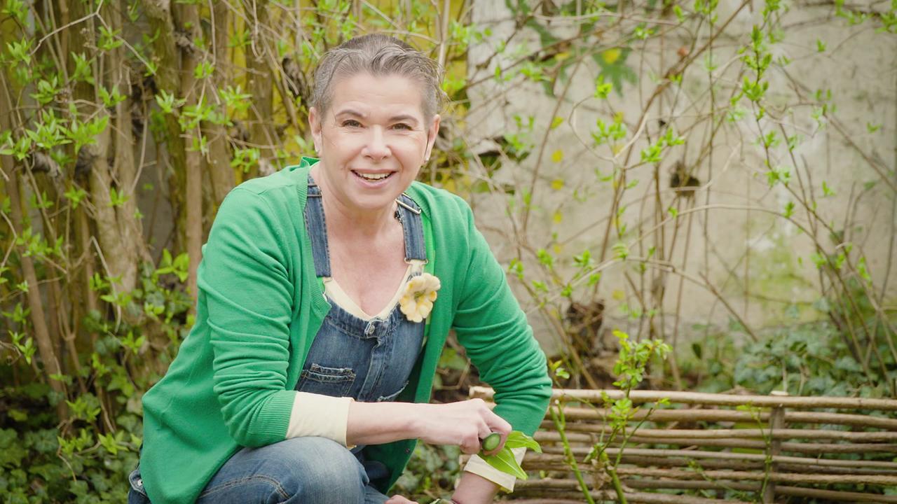 Kräuterhexe Uschi Zezelitsch kniet in einem Garten vor einem Flechtzaun und hält Bärlauchblätter in der Hand