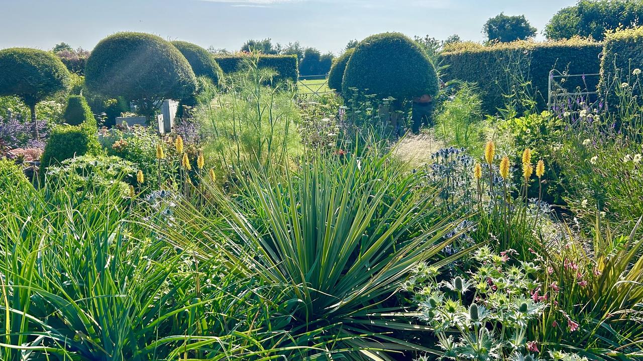 Garten mit dichter Bepflanzung mit verschiedenen Sträuchern und Stauden.