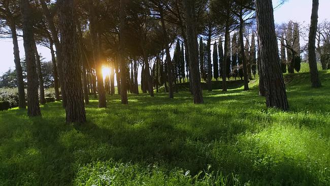 Ein römischer Garten mit vielen Zypressen, untergehende Sonne.