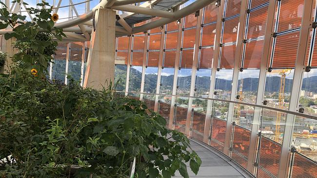 Auf dem 13. Stock des Science Tower in Graz versteckt sich ein besonderer Dachgarten im Rahmen des Rooftopfarming-Projekts. 