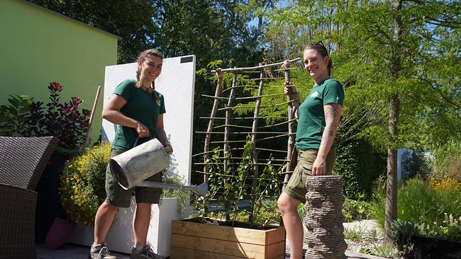 Ein bewachsenes Spalier aus Schnittgut - Die GärtnerInnen der Garten Tulln zeigen, dass das ganz leicht möglich ist. Sie verwenden dafür Efeu-Stecklinge.