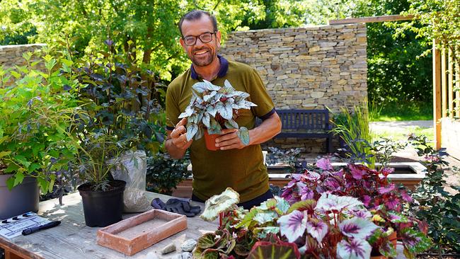 Karl Ploberger mit schönen Blattpflanzen