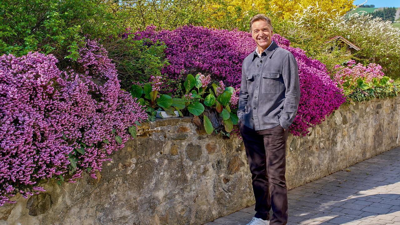 © ORF/Alois Kuschetz Hans Knauß steht auf einem Gehweg neben einer Steinmauer mit üppig blühenden Sträuchern bei Sonnenschein.