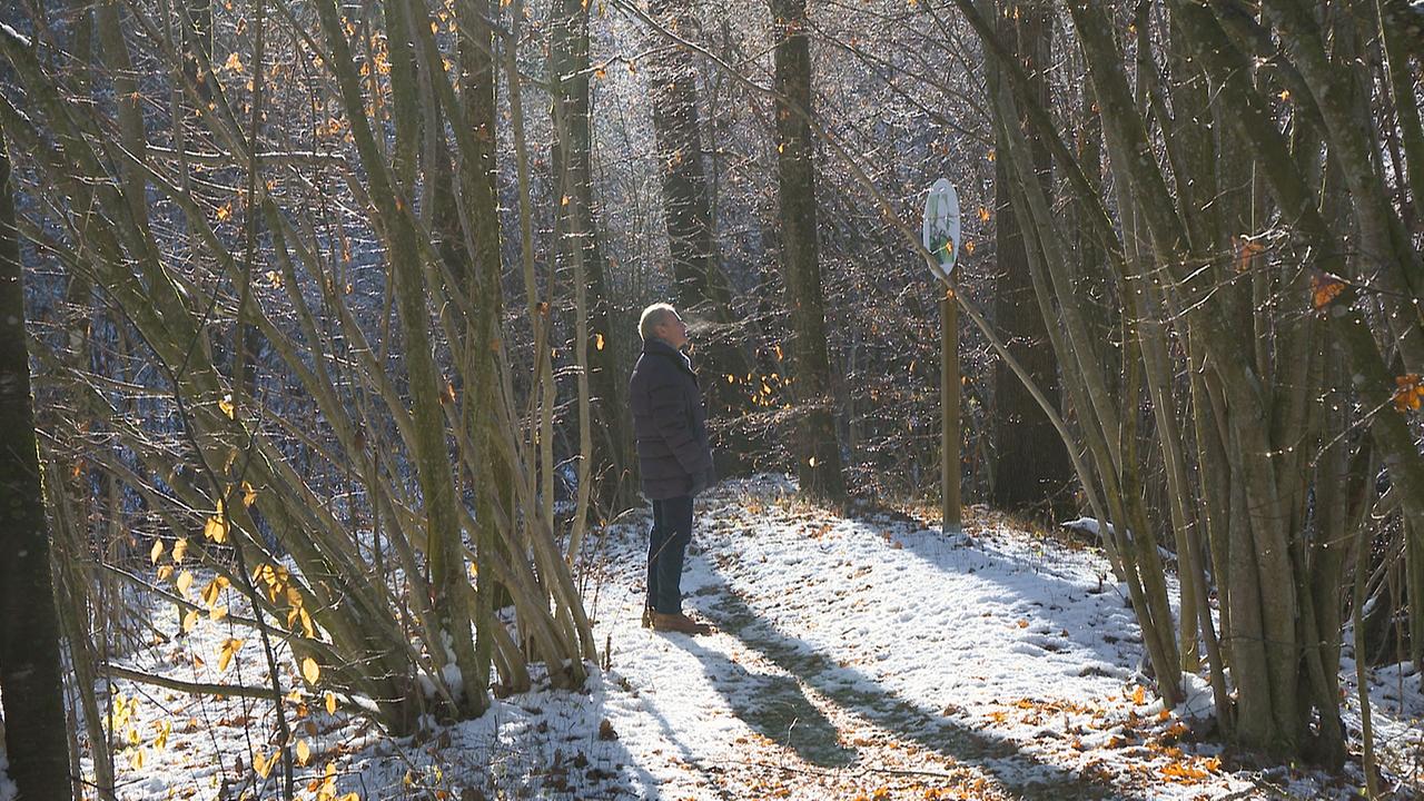 © ORF/Cinevision "FeierAbend: Aus der Stille": Theologe und Psychotherapeut Arnold Mettnitzer spaziert durch den "Glücksparcour".