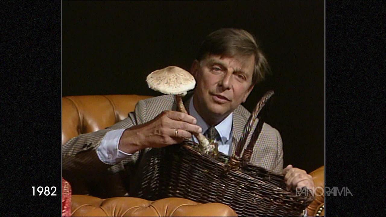 © ORF Am Bild aus dem Jahr 1982 sitzt Hugo Portisch in einem braunen Ledersessel. er hat einen Korb am Schoß stehen und hält einen großen weißen Pilz in der Hand.