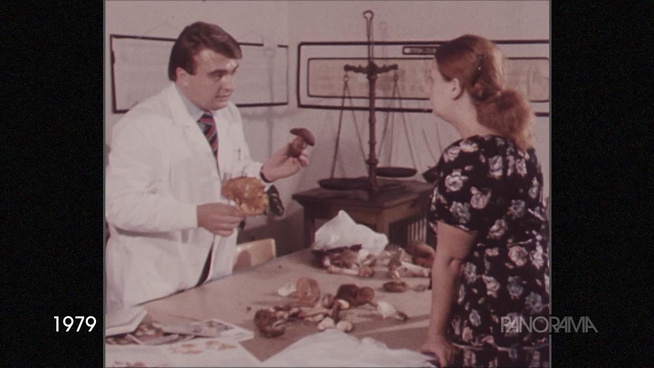 © ORF Am Bild aus dem Jahr 1979 ist ein Herr mit weißem Mantel zu sehen. Er hält verschiedene Pilze in der Hand und zeigt sie einer jungen Frau, die ihm gegenüber steht. Am Tisch sind einige Pilze zu sehen und Unterlagen dazu.