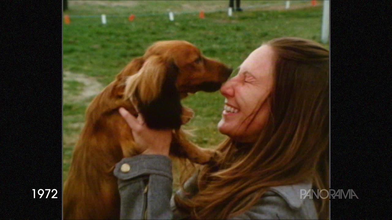 © ORF Am Bild aus dem Jahr 1972 ist eine junge Frau mit langen Haaren, die gerade von ihrem Dackel im Gesicht "geküsst" wird. Sie lacht und kneift dabei die Augen zu.