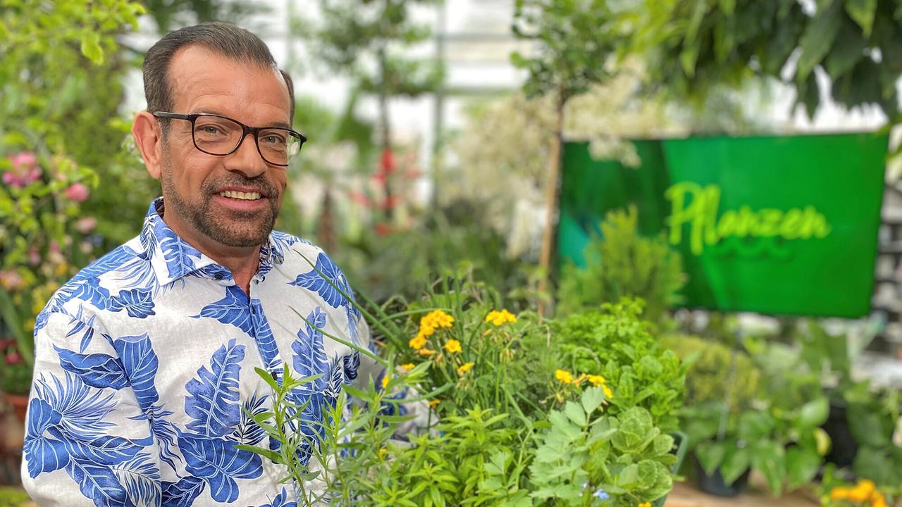 "Pflanzendoc: Karl Ploberger hilft bei Gartensorgen": Karl Ploberger