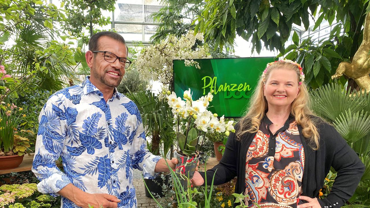 "Pflanzendoc: Karl Ploberger hilft bei Gartensorgen": Karl Ploberger, Ulrike Beimpold